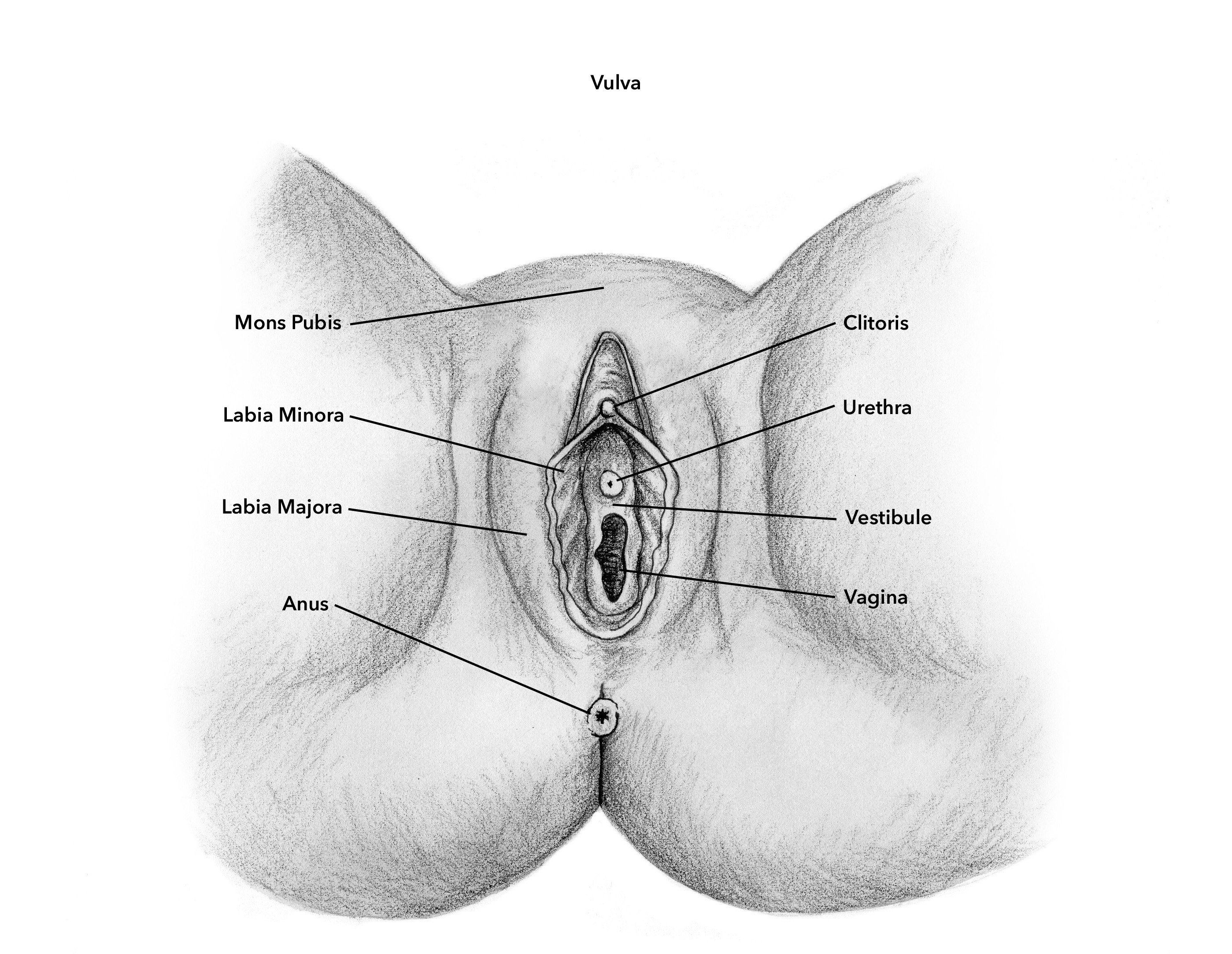 Clitoris medical conditions