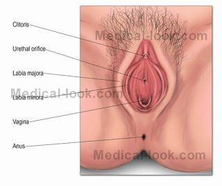 Cara Memasukkan Penis Ke Dalam Vagina Hot Porno Comments